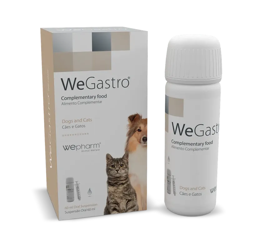 Mycket uppskattad | WeGastro Oral Suspension – 60 ml