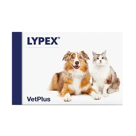 Vetplus Lypex för katter och hundar 60 kapslar | Beställ nu