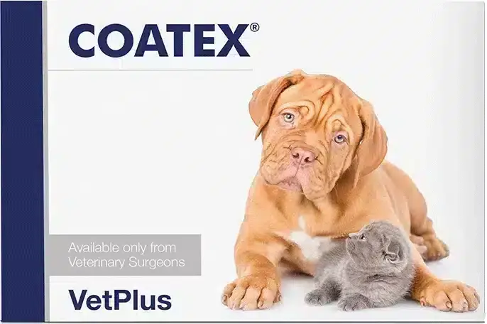 Kanonerbjudande - Vetplus Coatex kapsel för katt och hund 60 st