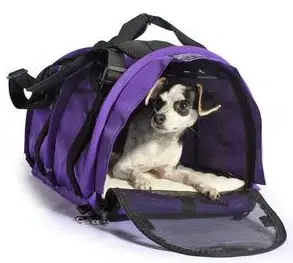Riktigt fynd - Sturdibag Large pro 2.0 (Purple)