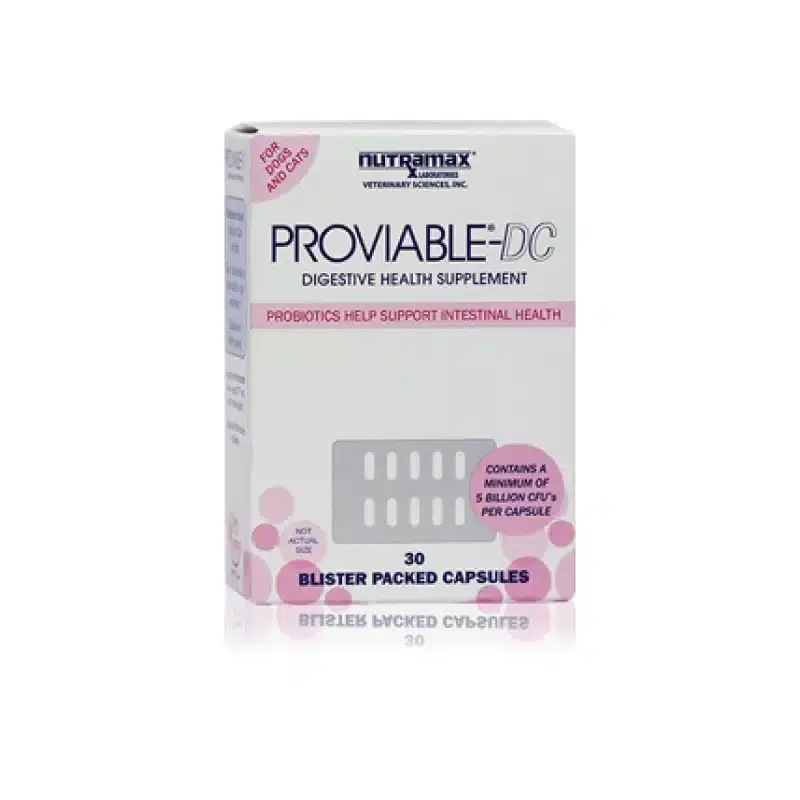Premiumkvalitet - Kosttillskott Nutramax Proviable-DC Strökapslar 30 st