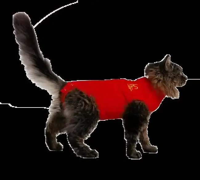 Precis inkommet - Operationsdräkt Medical PetShirt Kattbody Röd 2XS