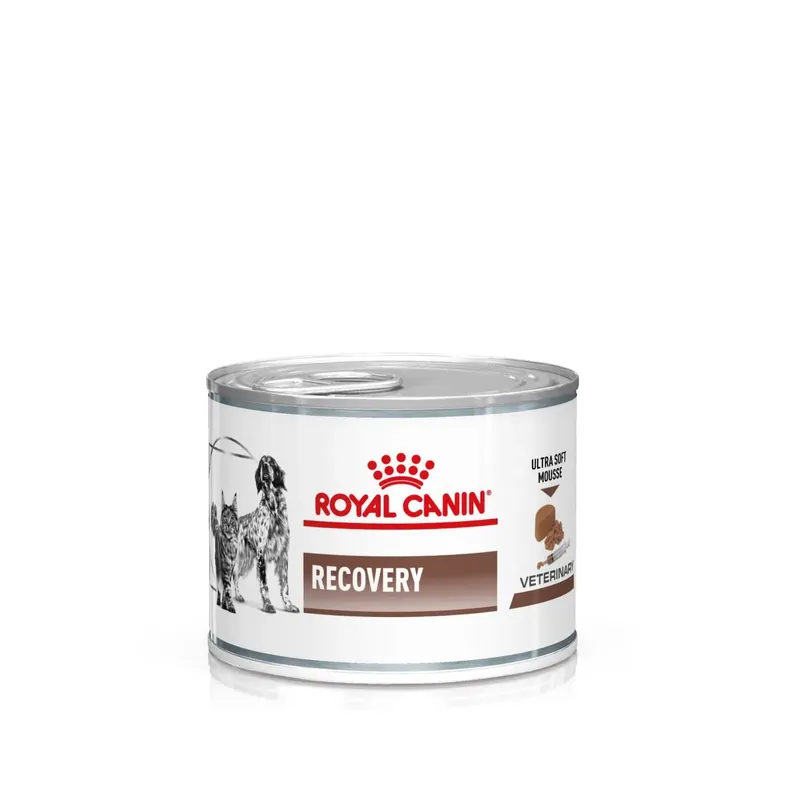 Efterfrågad | Gastrointestinal Recovery Ultra Soft Mousse Våtfoder för katter och hundar 195g – Royal Canin Veterinary Diets