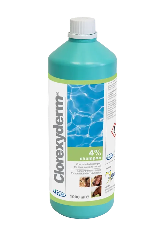 ICF Clorexyderm Schampo – 1 l - Köp idag