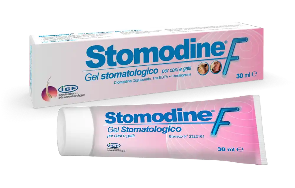 Premiumkvalitet - ICF Stomodine F oral gel daglig användning – 30 ml