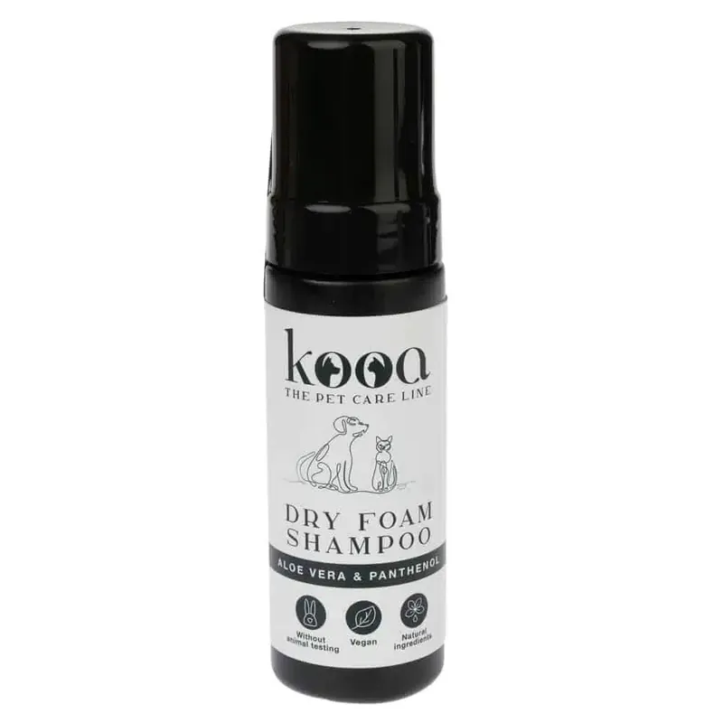 Begränsat lager | kooa torrschampo i skumform – 170 ml