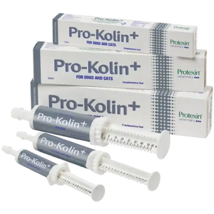 Handla nu - Pro-Kolin+ 15 ml – Protexin Veterinary