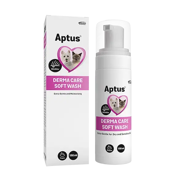 Derma Care Soft Wash – 150 ml - Toppsäljare