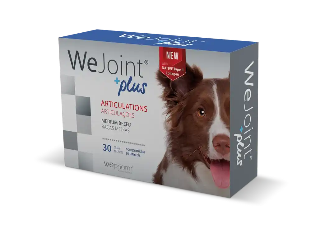 WeJoint Plus – Medium Breed | Kampanj