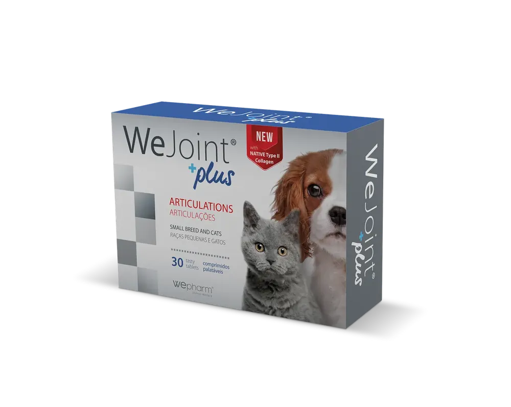 Populärt just nu | WeJoint Plus – Small Breed/Cat