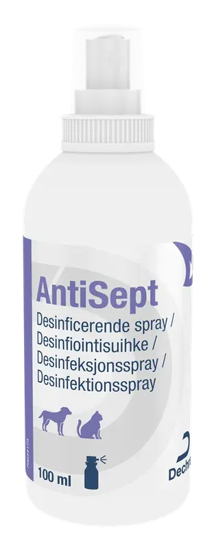 AntiSept – Flaska 100 ml | Endast denna vecka