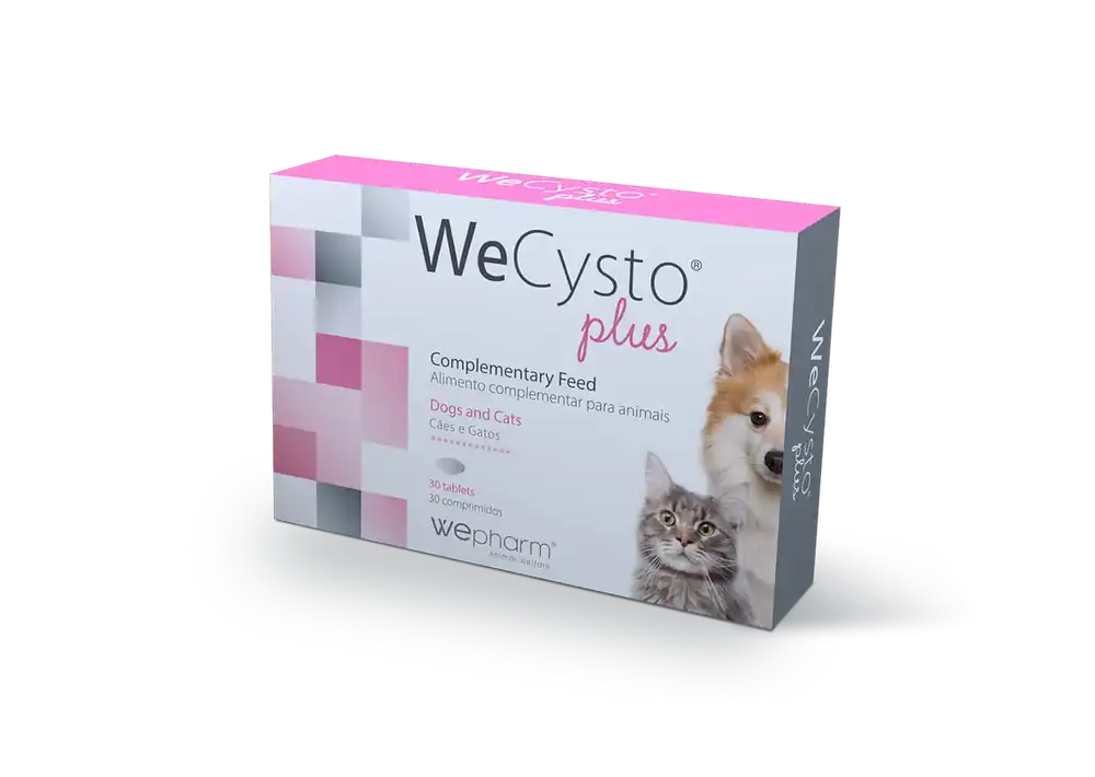 WeCysto Plus Tabletter – 30 tabletter | Erbjudande
