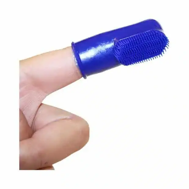 PetNation Fingertandborste - Under begränsad tid