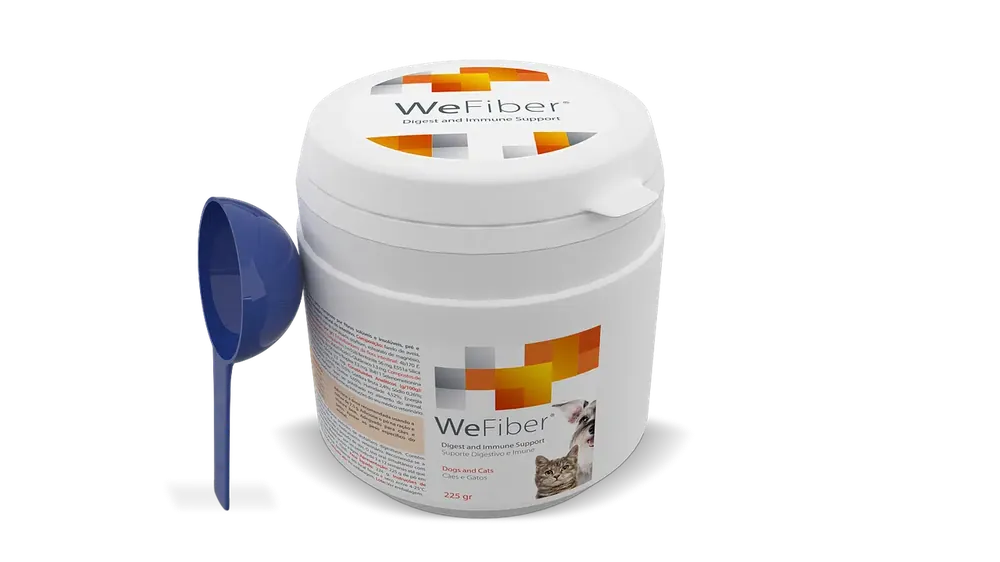 Skynda dig | WeFiber Pulvertillskott Mage & Tarm – 225 g