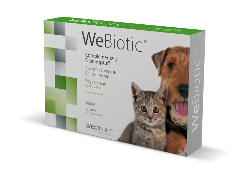 Favorit hos kunderna | Webiotic tuggtabletter vid magtarmstörningar – 30 tuggtabletter