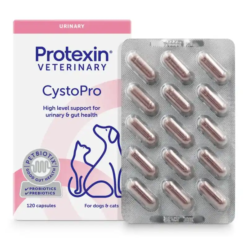 Protexin Veterinary Cystopro för Hundar och katter 120 kapslar | Expressleverans