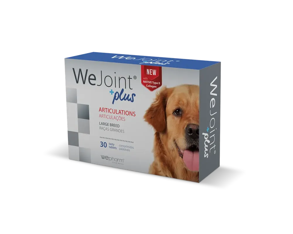 WeJoint Plus – Large Breed | Riktigt fynd