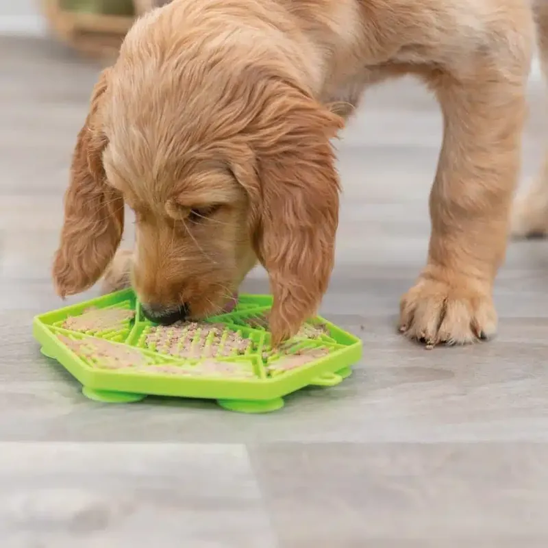 Prisnedsättning | Trixie Lick’n’Snack Slickmatta Grön 17 cm