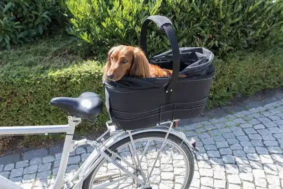 Cykelkorg för pakethållare - Snart slut