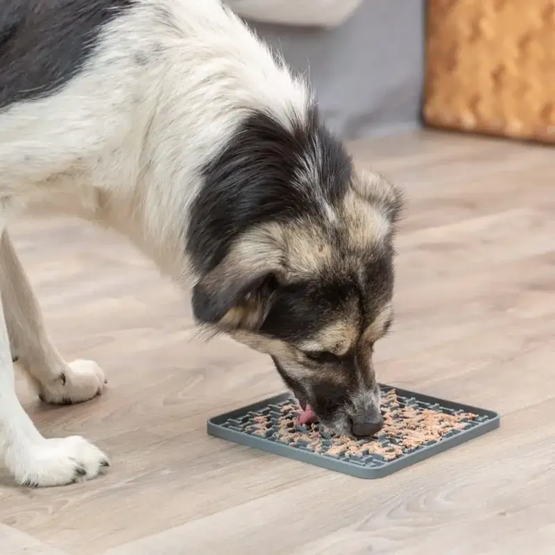 Trixie Lick’n’Snack Slickmatta Grå 20 cm - Mycket uppskattad