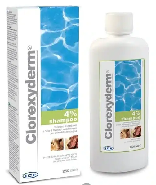 ICF Clorexyderm Shampo 250 ml | Utförsäljning