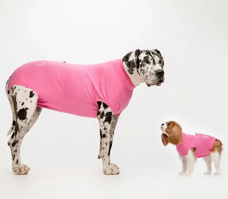 Kundfavorit - Recovery Suit Pink Tik/Katt Nr 12