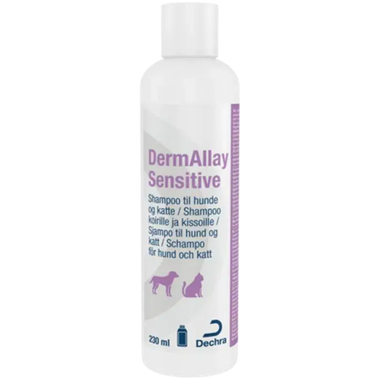 DermAllay™ Sensitive Shampoo Dogs & Cats 230 ml – Dechra | Outlet