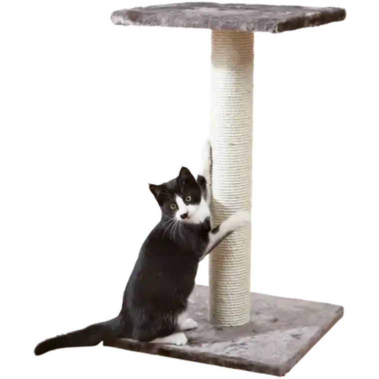 Skaffa nu - Espejo Scratching Post Platinum Gray 69 cm – Trixie
