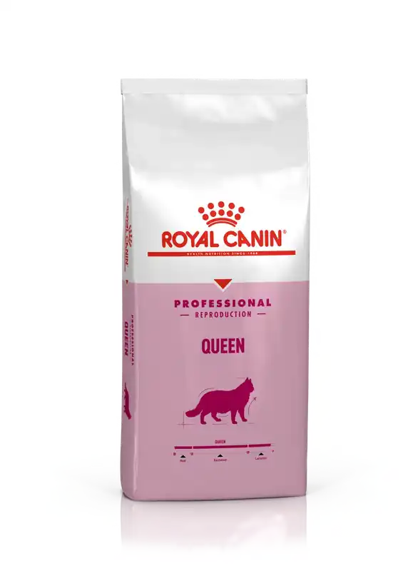 Pro Queen torrfoder för katt – 4 kg - Fyndpris
