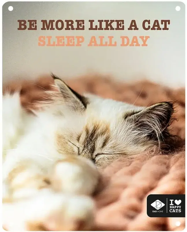 Missa inte | Kattskylt ”…sleep all day”