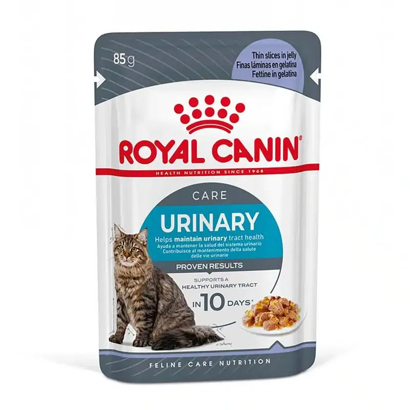 Royal Canin FCN Urinary Care i gelé – 12 x 85 g - Mycket uppskattad