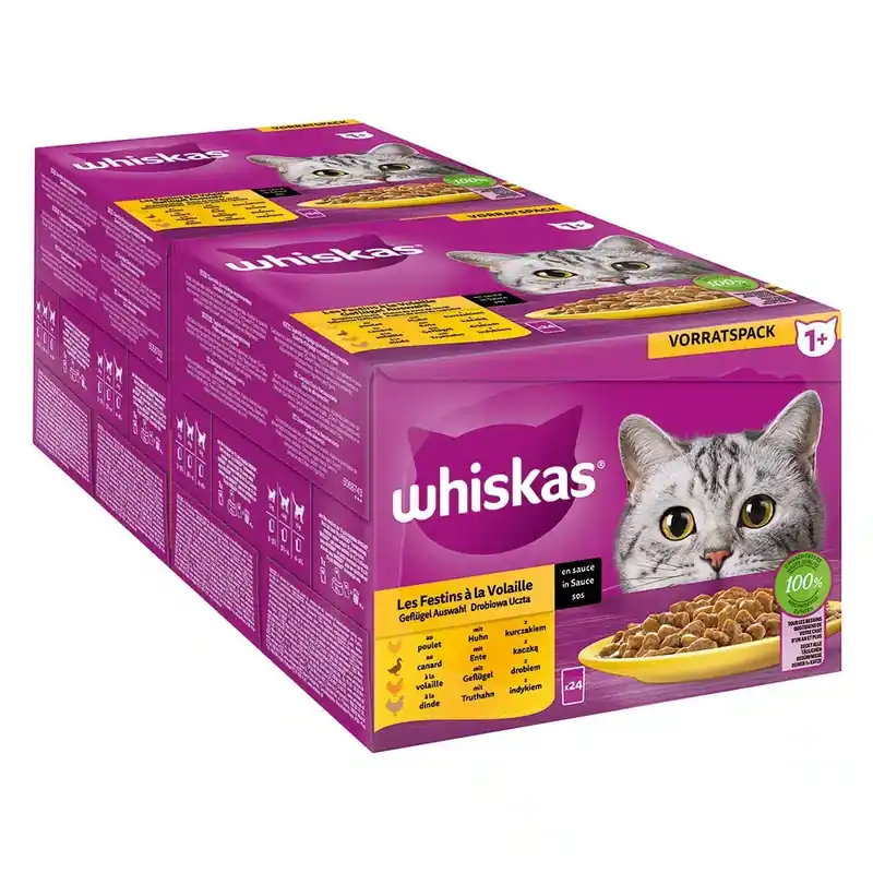 Ekonomipack Whiskas 1+ portionspåse 48 x 85 g – Fjäderfäurval i sås - Mycket uppskattad