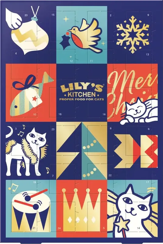 Adventskalender till Katt – Adventskalender | Väl omtyckt