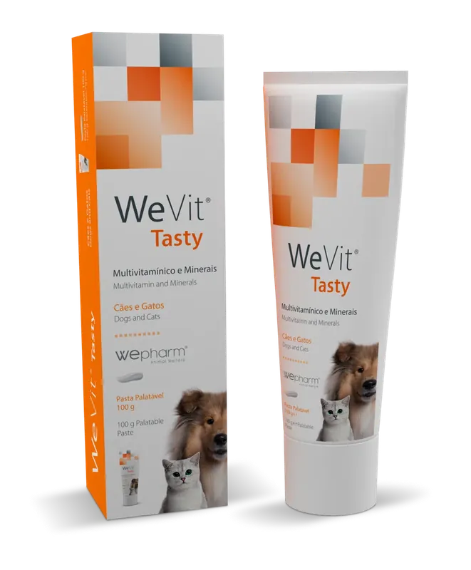 Nyhet | WeVit Tasty energipasta – 100 g