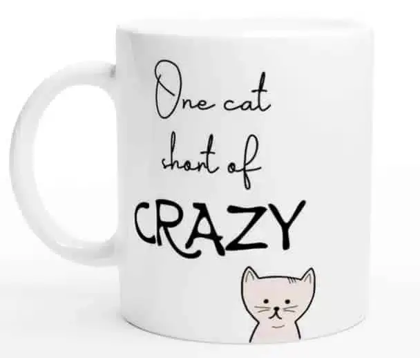 Mugg One cat short of crazy - Snabb leverans
