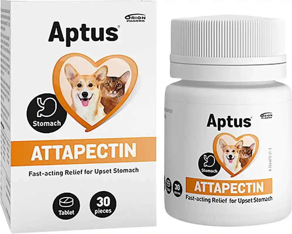 Aptus Attapectin 30 st | Spara nu