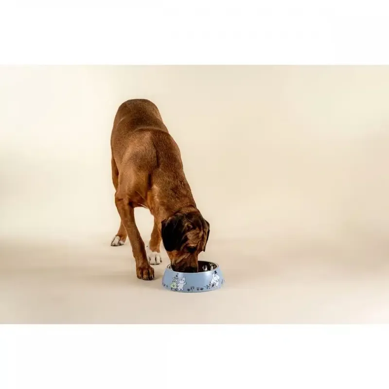 Få kvar i lager | Moomin for Pets matskål för hund och katt (XL Blå)