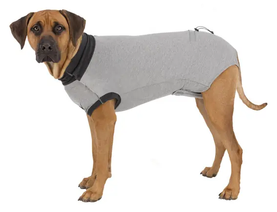 Erbjudande - Skyddande Body för Hund - XS