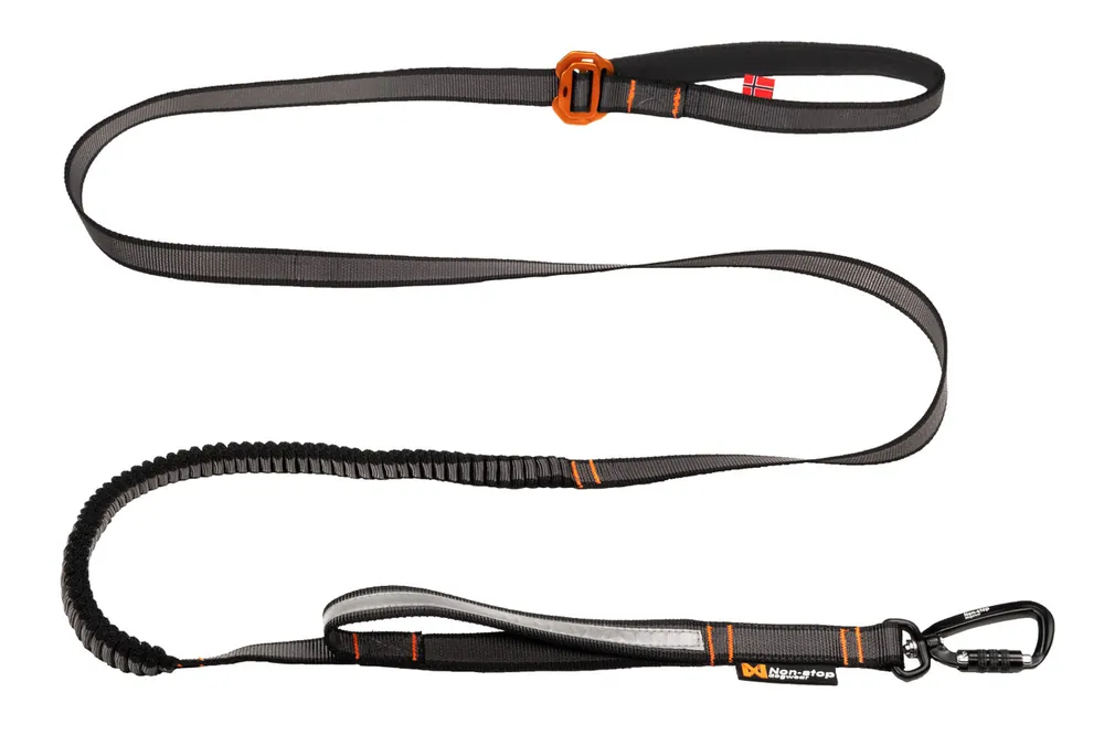 Touring Bungee Leash Adjustable - Bungee Leash Adjustable | Mycket populär