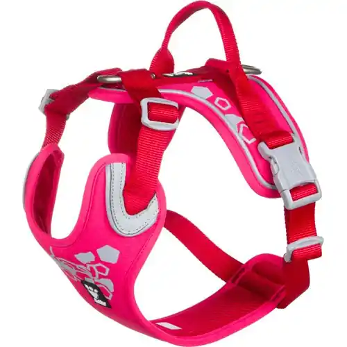 Weekend Warrior Hundsele - 100 - 120 cm / Ruby - Specialerbjudande