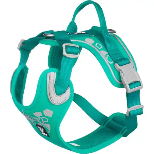 Weekend Warrior Hundsele - 100 - 120 cm / Peacock | Köp online