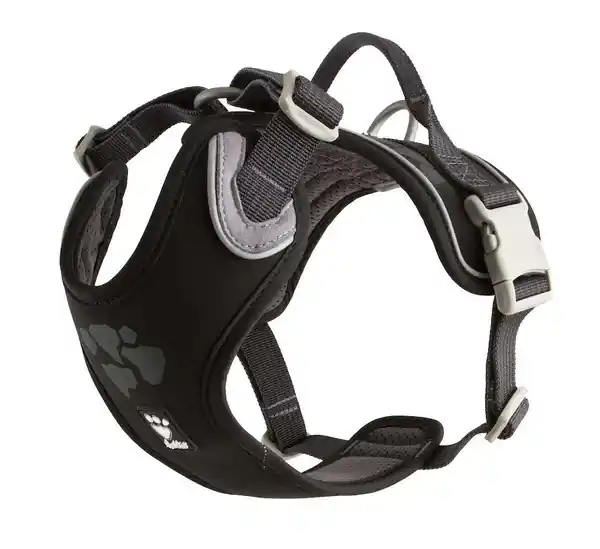 Rea | Weekend Warrior Hundsele - 100 - 120 cm / Raven