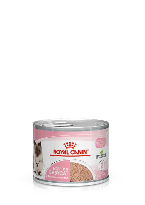 Mother Babycat Våtfoder till Kattunge - 12 st x 195 g | Favorit hos kunderna