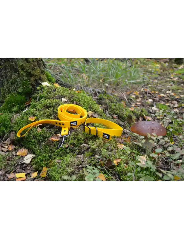 Biodipro Leash Hundkoppel - 180 cm x 25 mm | Finns tillgänglig