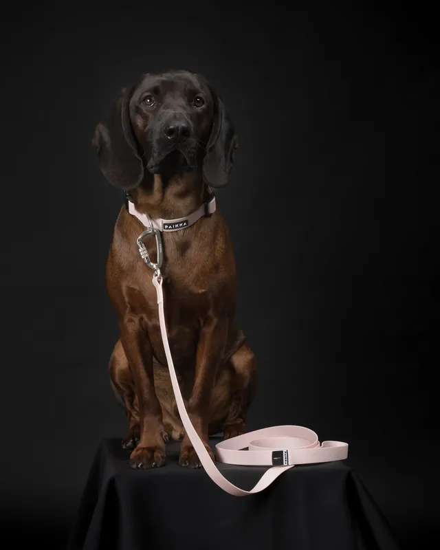 Glow Leash Självlysande Hundkoppel Pale Pink - 20 mm - Mycket efterfrågad