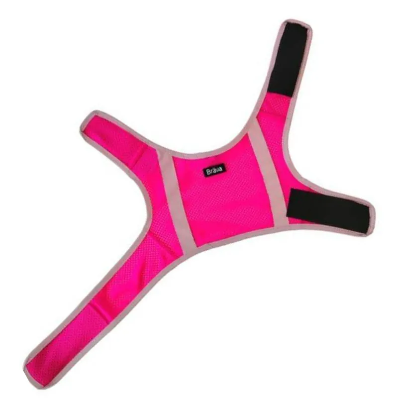 Rekommenderas | Atte Attention reflexväst till hund - Neonrosa / XS