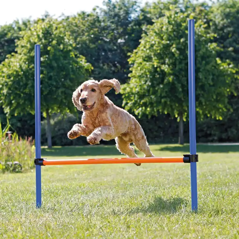 Missa inte - Trixie Agility Hopphinder