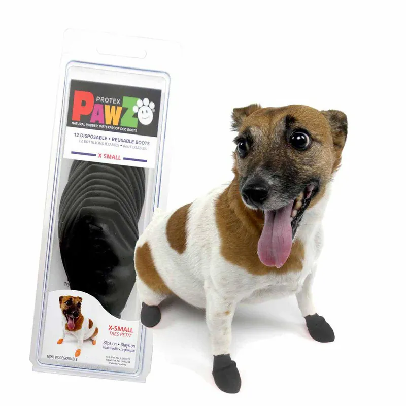 Hundsko Pawz Svart XS | Väl omtyckt