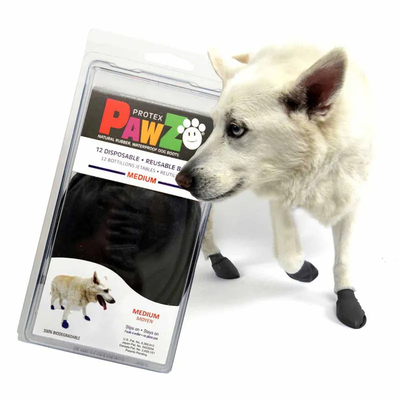 Pawz Hundsko Svart - M | Nytt hos oss