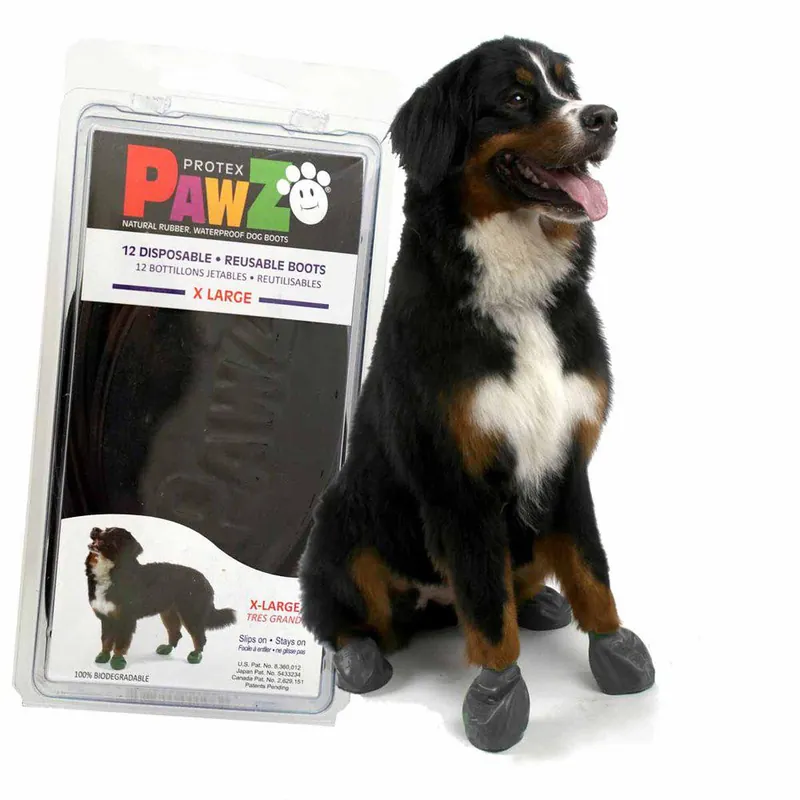 Utförsäljning | Pawz Hundsko Svart - XL